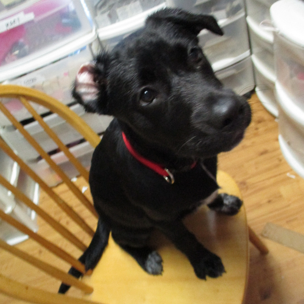 Meet your Posher, Cindy